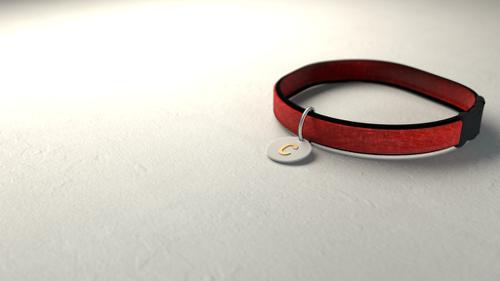 Cat/Dog Collar preview image